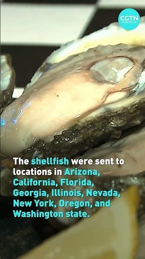 Multiple types of shellfish are being recalled in at least nine U.S. states