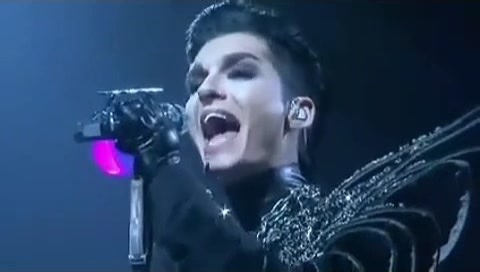 Connecting with Animals: How to Foster Human-Animal Bonds