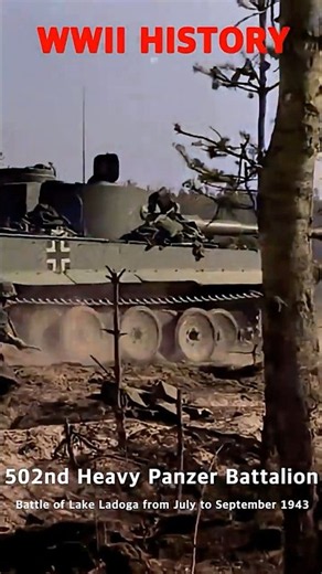A Tiger I heavy tanks of the 502nd Heavy Panzer Battalion near Lake Ladoga during World War II #ww2