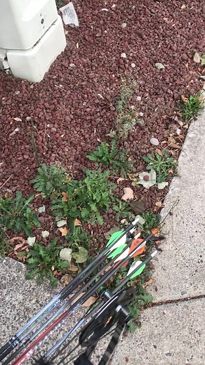 128K views · 1.6K reactions | Urban hunting #hunting #urbanhunting #roadhunter #2022 #outdoors #outdoorcontent #huntingcontent #oregon #pnw #farmland #deer #blacktail #blacktaildeer #deerhunter #fyp #viral #deerhunting #archery #bowhunter #bowhunting #teammerp #trending #teamtalker #jrtalker #viralreels #westcoast #fishing #talkertackle #mathews #bows #bowandarrow | James Anderson | Facebook