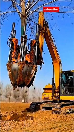 Unbelievable Power! 😱 Excavator vs Big Tree #Shorts #tree #excavator
