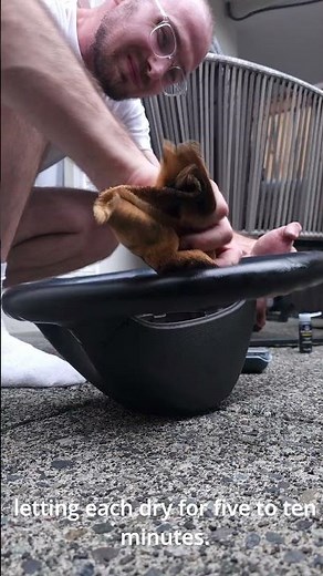 steering wheel repair