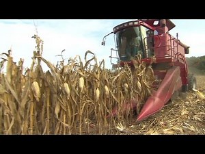 The smart way to invest in commodities