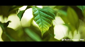 34K views · 50 reactions | An exquisitely liveable gated community in the making, to create a prominent greenery neighborhood in the middle of the New Administrative capital with the first golf field and school Suli is designed to execute all the insightful needs into easy- to-use facilities. Developing Instrumental- level vibes for newlyweds and families #Pleasures_R8 #Pleasures_R_infinite | UC Developments | Facebook