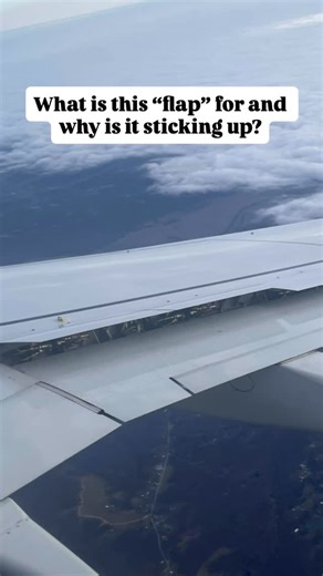 @quizbasehq on Instagram: "This is from the wing of a Boeing 737. Why is this “flap” sticking up?"