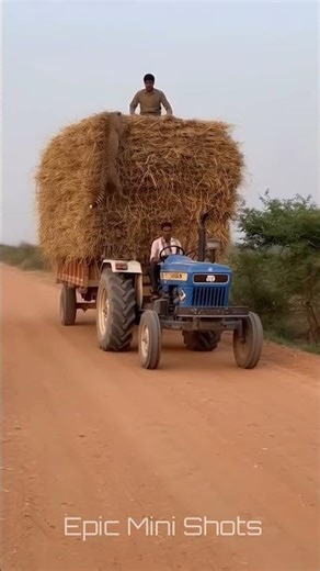 Cheetah Sits on Tractor Haystack | Shocking Moment 🔥🐆🚜