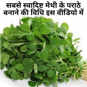 272K views · 2K reactions | मेथी का पराठा बनाने का सबसे आसान तरीका इस तरीके से बनायेगे तो रोज बनाकर खायेगे, Methi Ka Paratha, How to make Methi Ka Paratha, Methi Ka Paratha Recipe, Instant Methi Ka Paratha, Methi Paratha, Paratha, #MethiKaParatha #MethiParatha #Paratha | Saroj Sharma Kitchen | Facebook