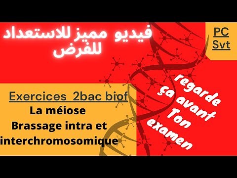 Exercices La méiose👍Brassage génétique 👍Information génétique👍