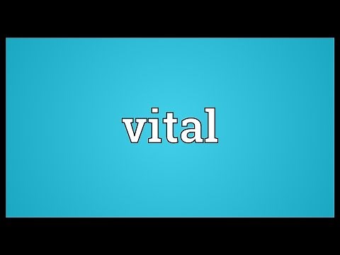 Vital Meaning