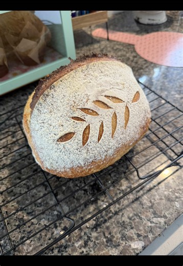 Rustic Roots Bakery House on TikTok