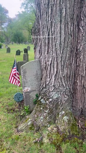 455K views · 10K reactions | Revolutionary War soldier Benjamin Allen helped shape a nation- now a tree is slowly claiming his headstone. Everything, in time, is reclaimed. | Sleepy Hollow Country | Facebook