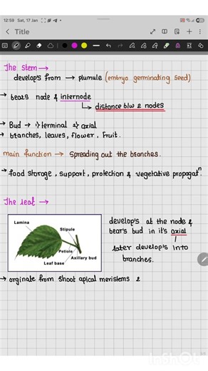 Notes of stem and 🍃 according to ncert #samsung s10 lite 📝 #asthetic notes making