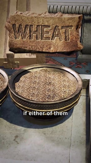 Ancient Egypt's Pregnancy Test 😮 | D Explain