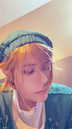 Twilight Princess Link #link #thelegendofzelda #linkcosplay #cosplayer #wlw