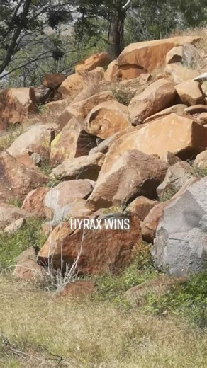 Nothing was harmed in the making of this video, but I know there's that 1 person in my followers