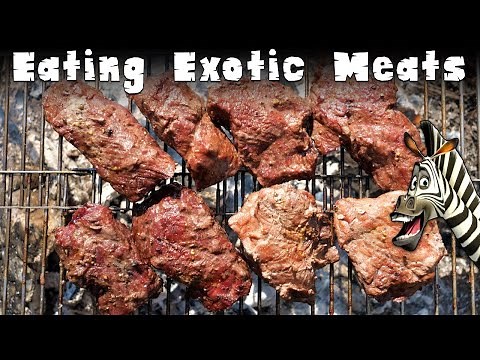 Eating Exotic Meats - Zebra, Kangaroo, Camel & Llama