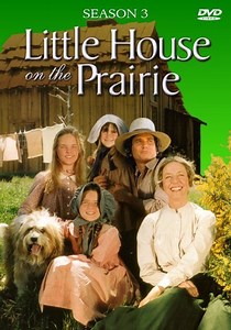 La casa de la pradera temporada 3 - Ver episodios online