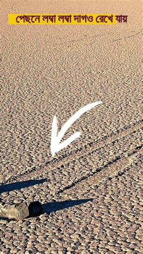 Why Do Rocks Move On Their Own? 🔥 | Science Mystery #shortvideo #science