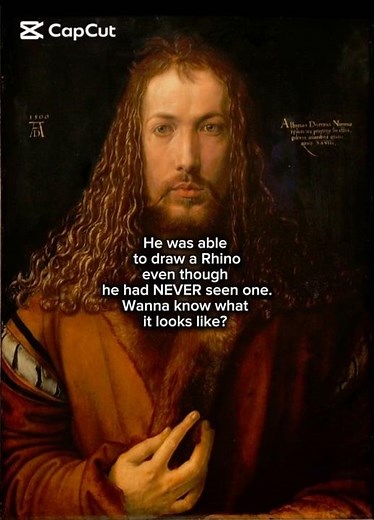 What Albrecht Dürer thought a Rhino loomed like #artanalysis #artanalysis #arthistory #history