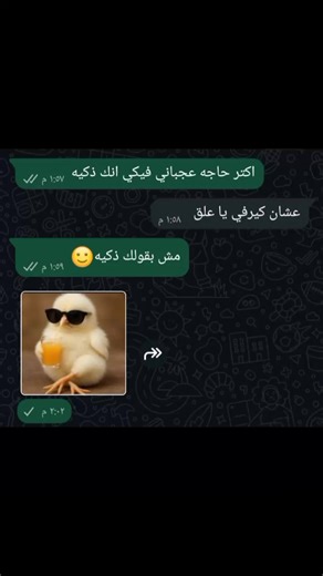 The Ultimate Dragon Compilation: Laughter and Love