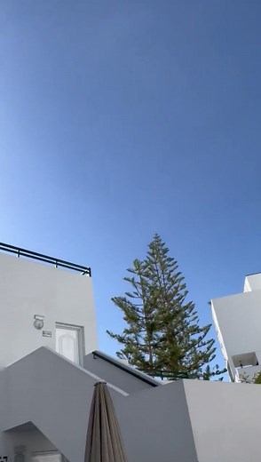 Bootlegger on TikTok