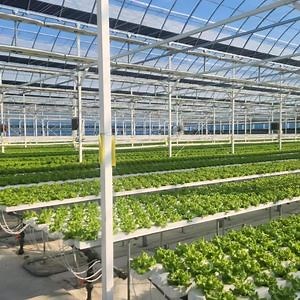 [Hot Item] Nft Channels 100X40 Hydroponics Indoor System Soilless Cultivation Solutions