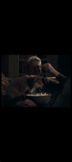 true story of the Akita dog named Hachikō who lived in Japan 1923–1935.#movie #fypシ #explorepage