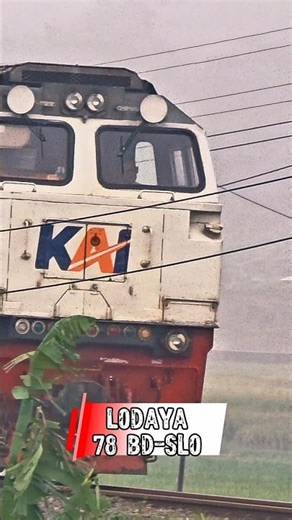 KERETA API (KA) LODAYA 78 BD-SLO #keretaapi #keretaapiindonesia #train #dao2bandung