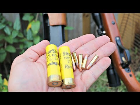 The TRUTH about .22 Long Rifle VS 20 gauge for Squirrel Hunting!