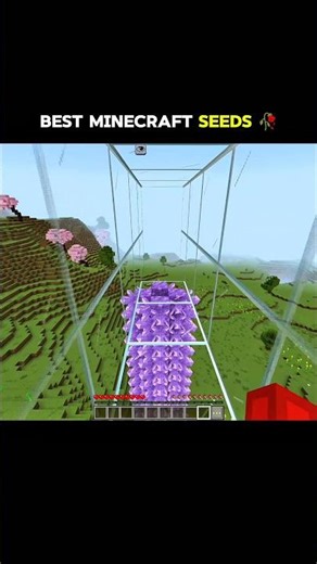 Best Minecraft seeds 🥀 #minecraft #minecraftshorts