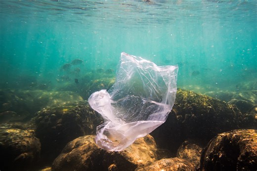 Ocean floor a 'reservoir' of plastic pollution, finds global study