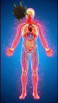 What Black Tea Does Inside Your Body (3D Medical Animation) #humanbody #foryou #science #blacktea