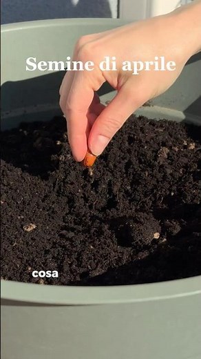 Cosa seminare in aprile 🌱