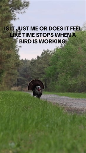 Nothing like it!! #nextsoutherngeneration #wickedkillercalls