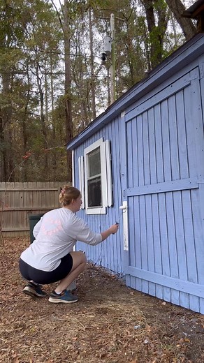 Bunny Barn Makeover Part 3 — fresh white trim is on! Amazing how a little paint can make everything pop 🤍💙🐇 #diy #bunny #barn #cute | Bratcher’s Bunnies - Events & Rabbitry