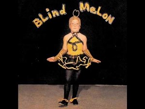 Blind Melon - No Rain (with lyrics)