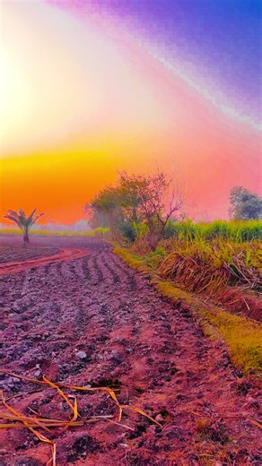 Part601/pind view 🫠🌞✨” #foryoupage #virel_video #unfrezzmyaccount🙏 #ساڈا_پنجاب🍁🥀 #1millionaudition @TikTok Pakistan