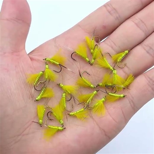 Ultra Realistic RS2 Fishing Fly Nymph Lures, 5PCS for Trout | Effective Mayfly Pattern, Beginner Fri