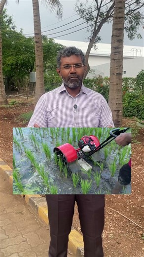 Paddy Weeder ....Sharp Garuda