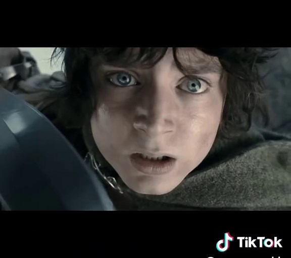 Frodo Baggins: A Madness Within the Family