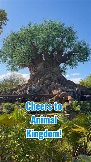 Disney’s Animal Kingdom Celebrates 28 Years! ✨🌳🦒 Our Favorite Theme Park Quiet Morning Activities