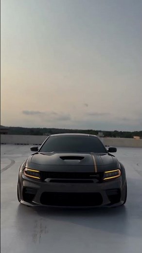 حلم صار الملقى !!