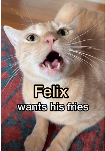 Interview with Felix the Cat (Part 2)