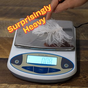 44K views · 552 reactions | Are falling objects always weightless? 樂​襁 | The Action Lab | Facebook