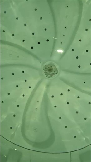 Panasonic washing mashine Pulsator Problem ! In-Warranty