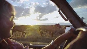 While visiting Utah, chances are you'll want to take the scenic route. Good news: there's always a scenic route. http://bit.ly/2pVe9QN #RoadtoMighty | Visit Utah