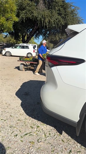 Who needs a Wacky Wednesday when you’ve got Jokes on a Thursday? 😆Apparently, I’m extremely gullible… let’s just say the crew had me believing some wild stuff while we were loading trucks today! 🌸🚚But hey — if it keeps the laughs going and the flowers moving, I’ll take it! 😉#FlowerRanchFun #TruckLoadingChronicles #GullibleAndProud #ShopLocal #GardenCenterHumor #ThursdayLaughs | The Flower Ranch
