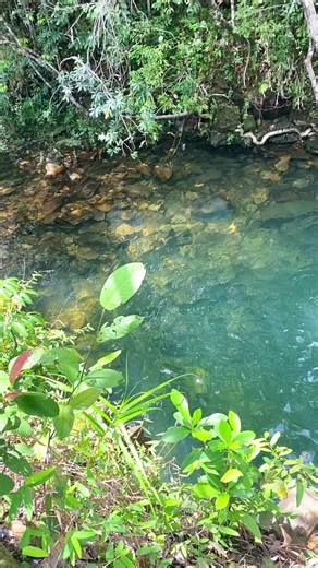 Descubre Kurawua: Pozo Azul en Canaima, Venezuela