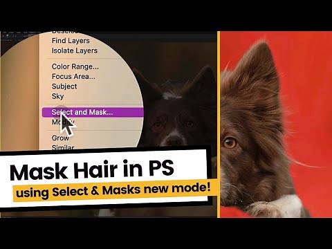 How to Mask Hair in Photoshop | The Update | Mask fur and hair in Adobe Photoshop 2021 and beyond