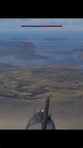 Hilarious Chicken Meme in War Thunder Gameplay